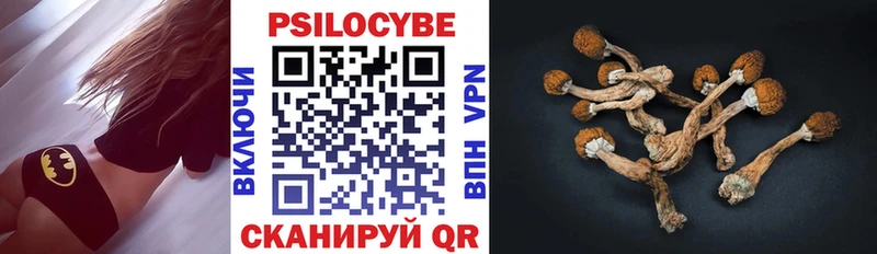 продажа наркотиков  МЕГА как войти  Галлюциногенные грибы мицелий  Красково 